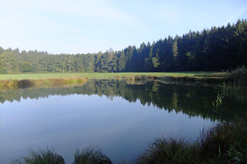 Zehentmayrhof Obing Szoba fotó